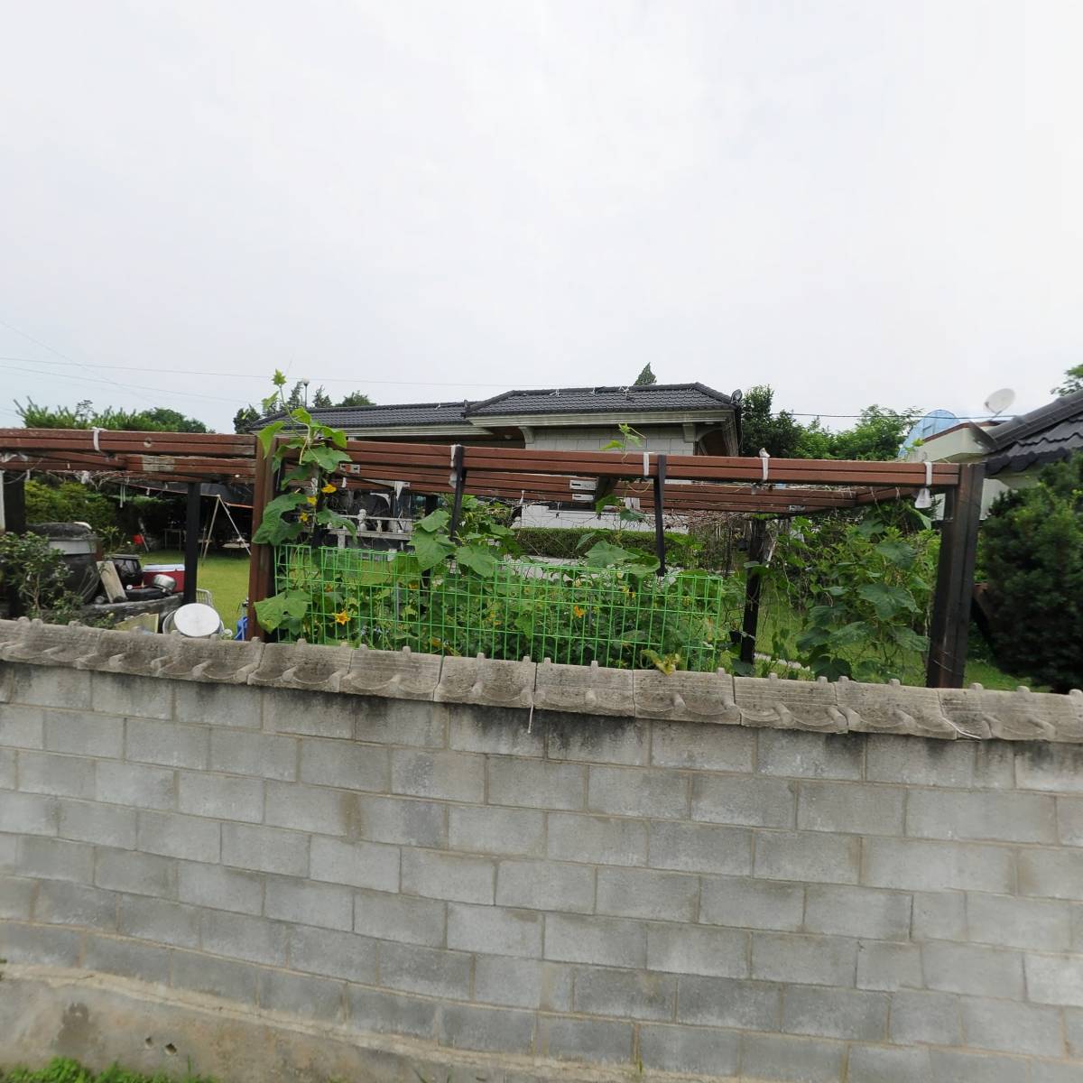 주식회사 블룸인코리아