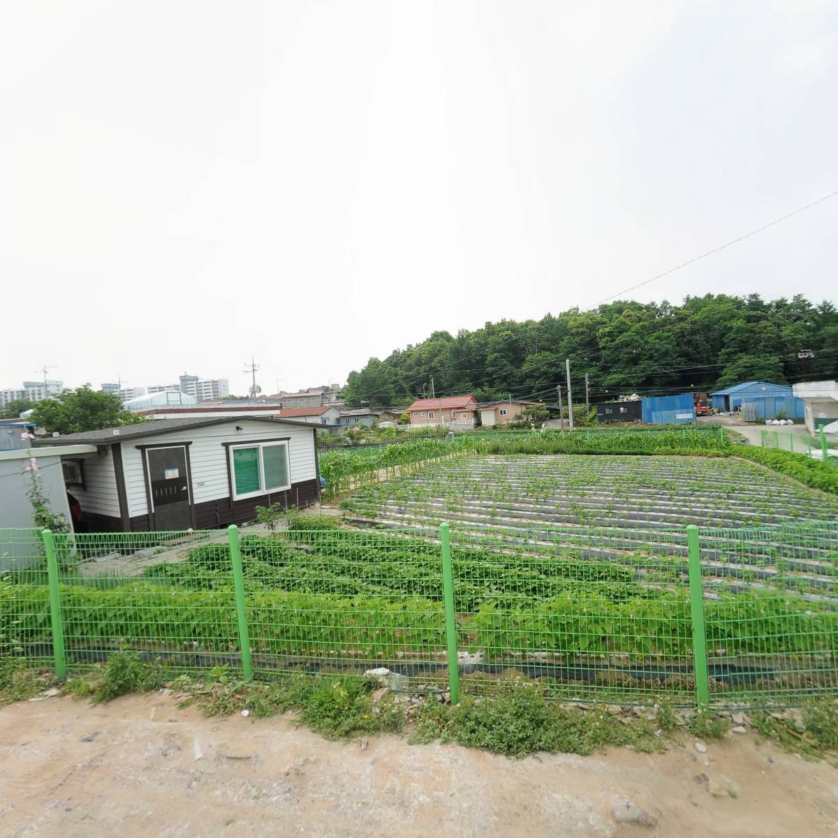 주식회사 블룸인코리아_3