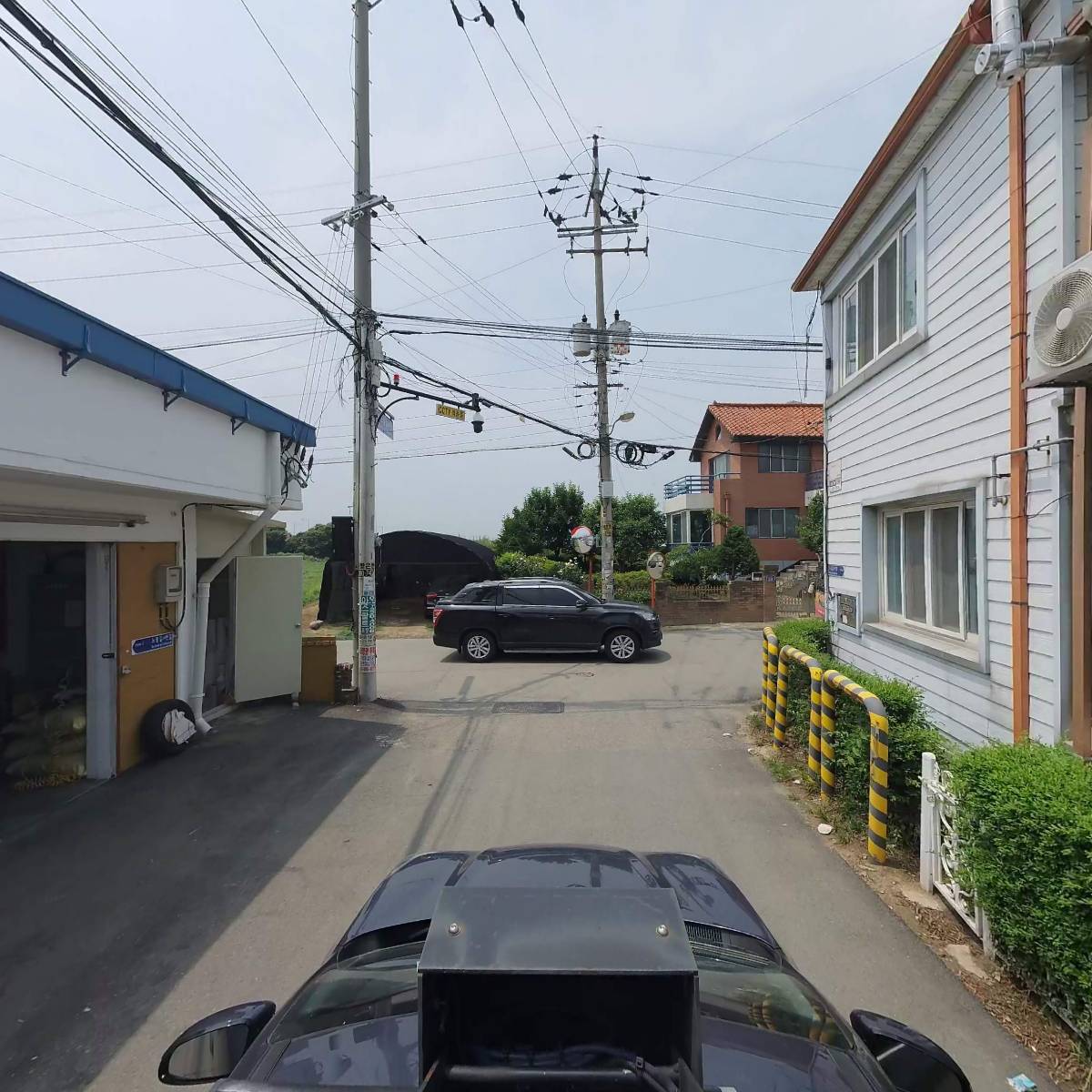 한진금박_4