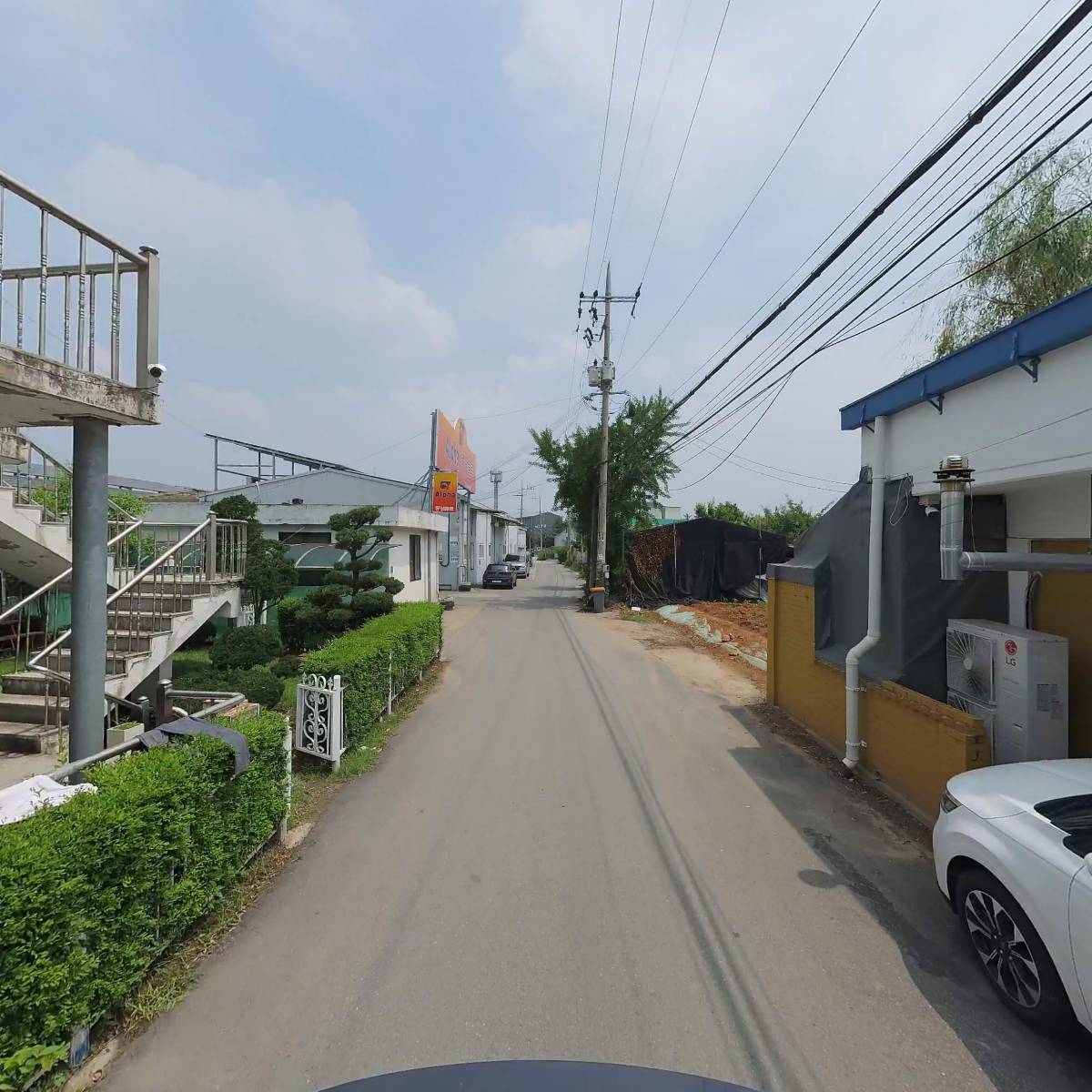 한진금박_2
