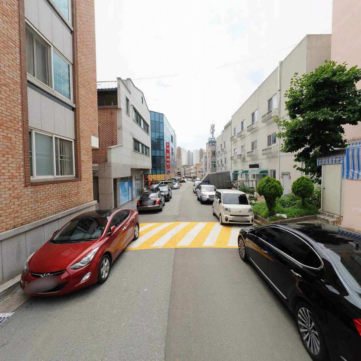 스노우볼_2