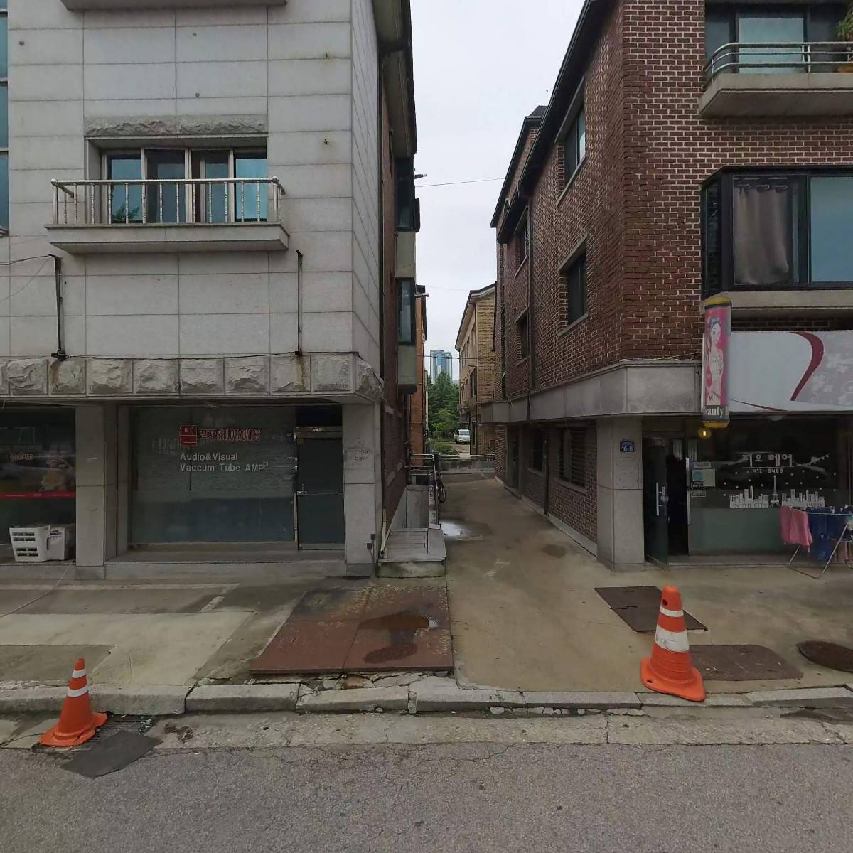 배추벌레
