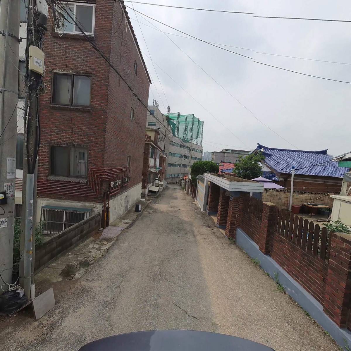 (주)세일펫 풍동지점_2