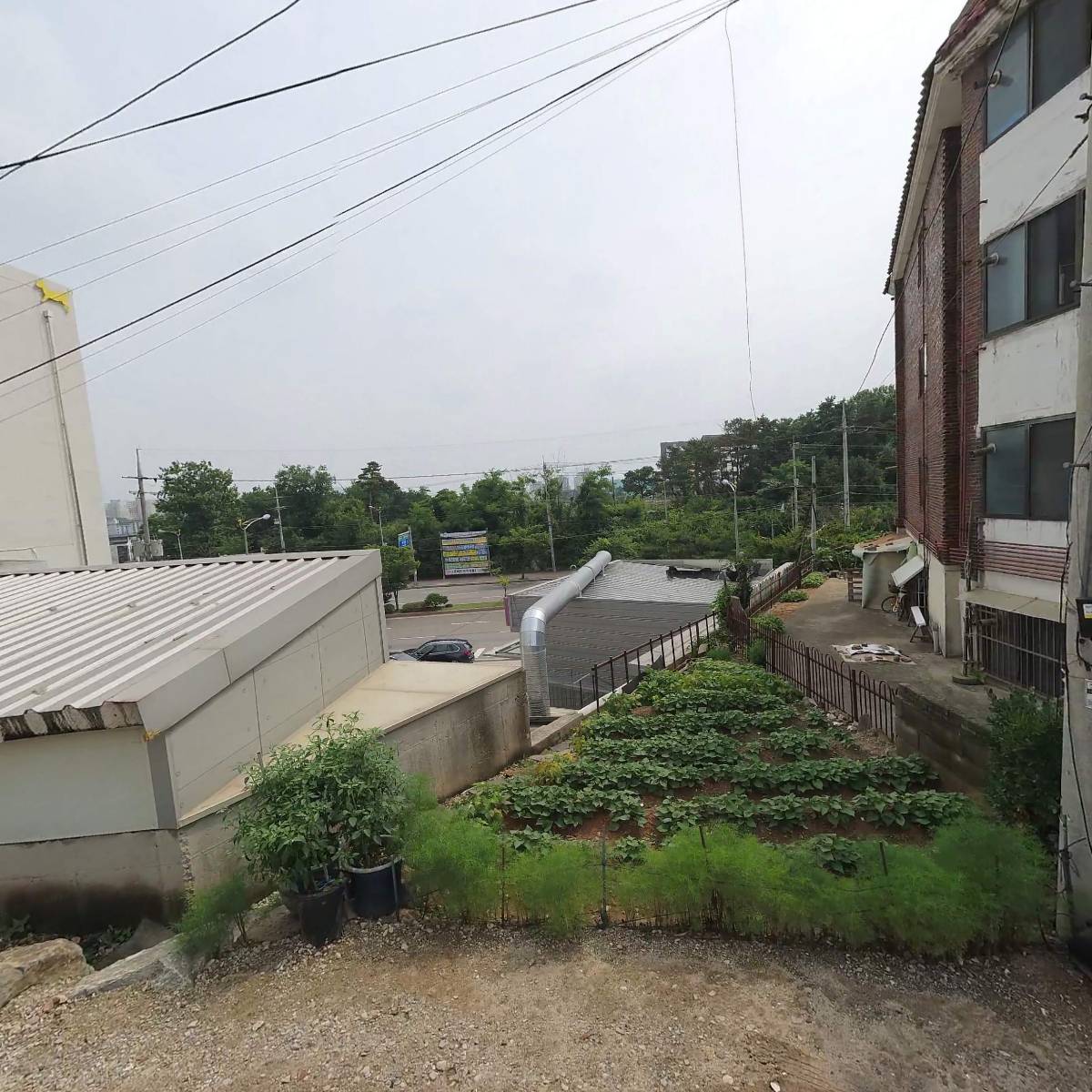 (주)세일펫 풍동지점