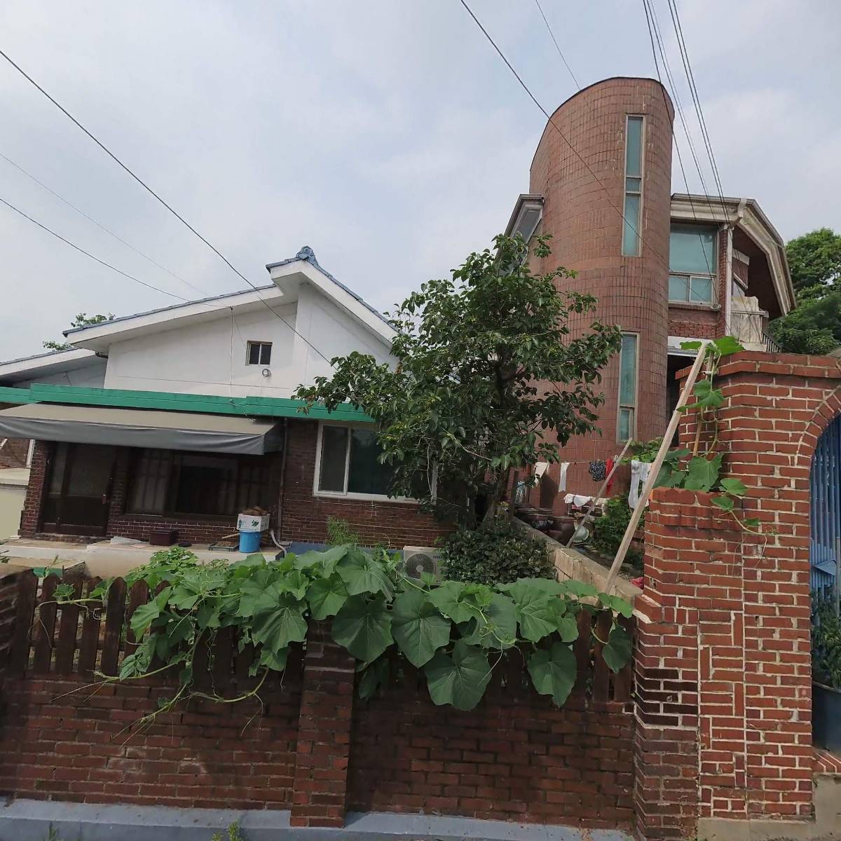 (주)세일펫 풍동지점_3