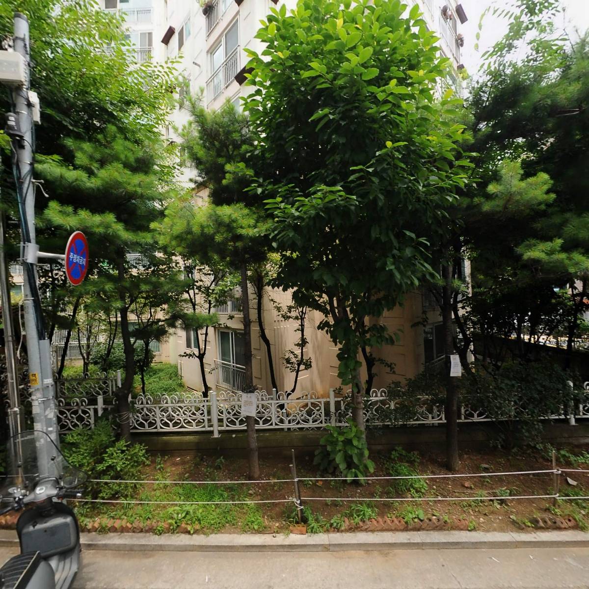 모락모락칼국수