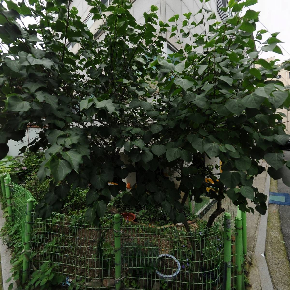 화로갈비_3