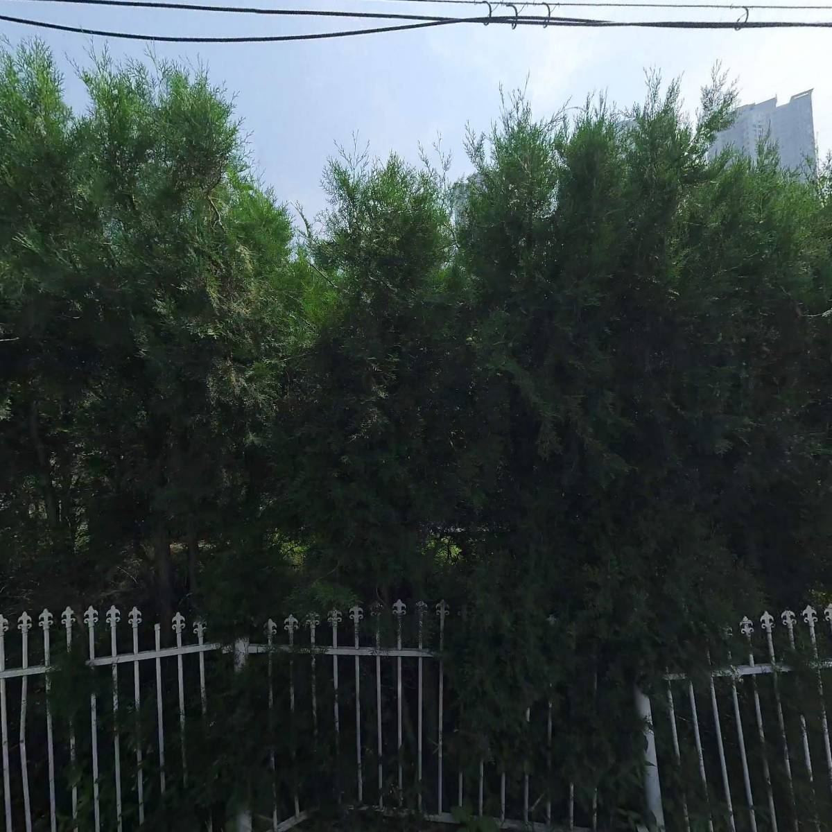 주식회사 벨누이뜨