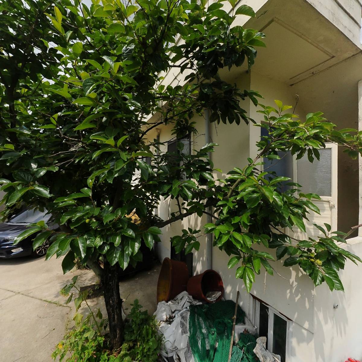 태멘