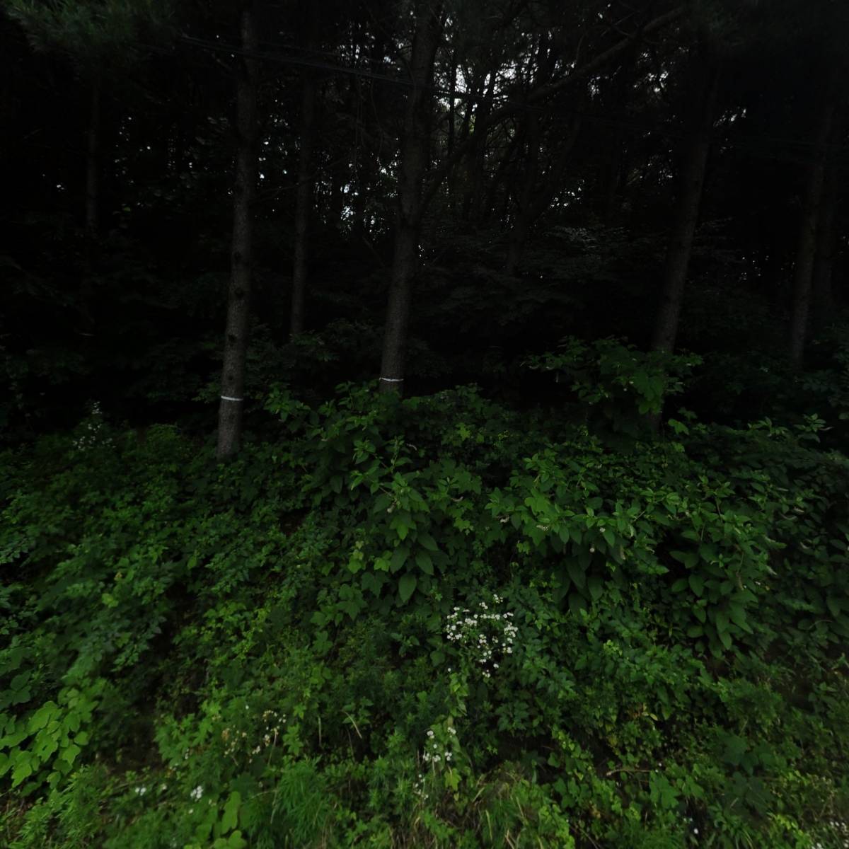 한솔캐스팅_3