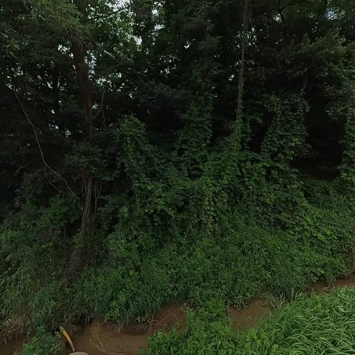 대정Scale_3
