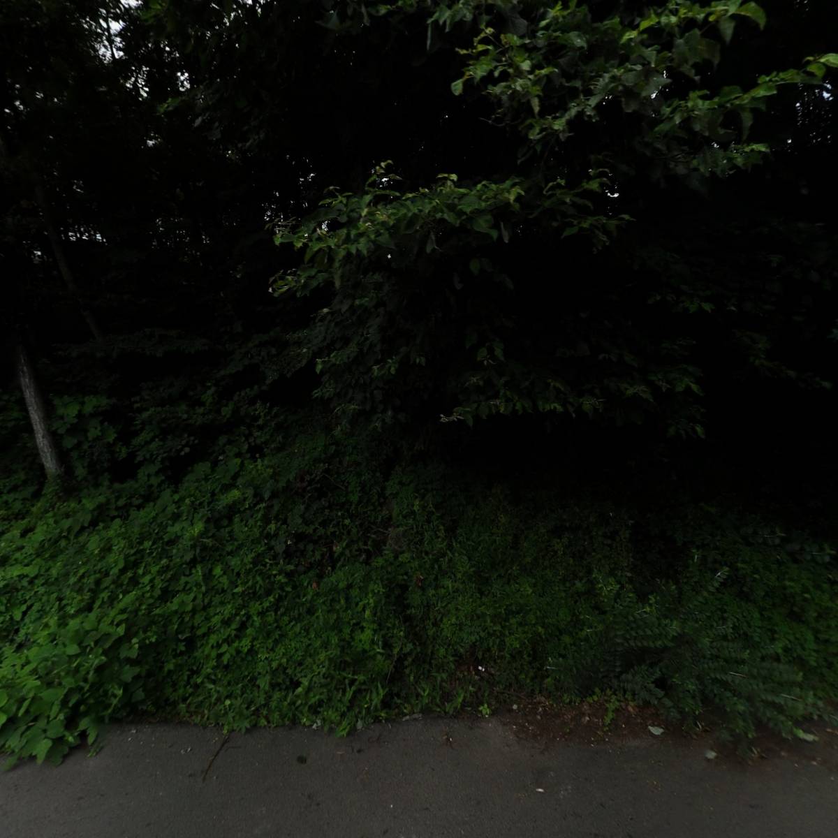 주식회사 제인하우스