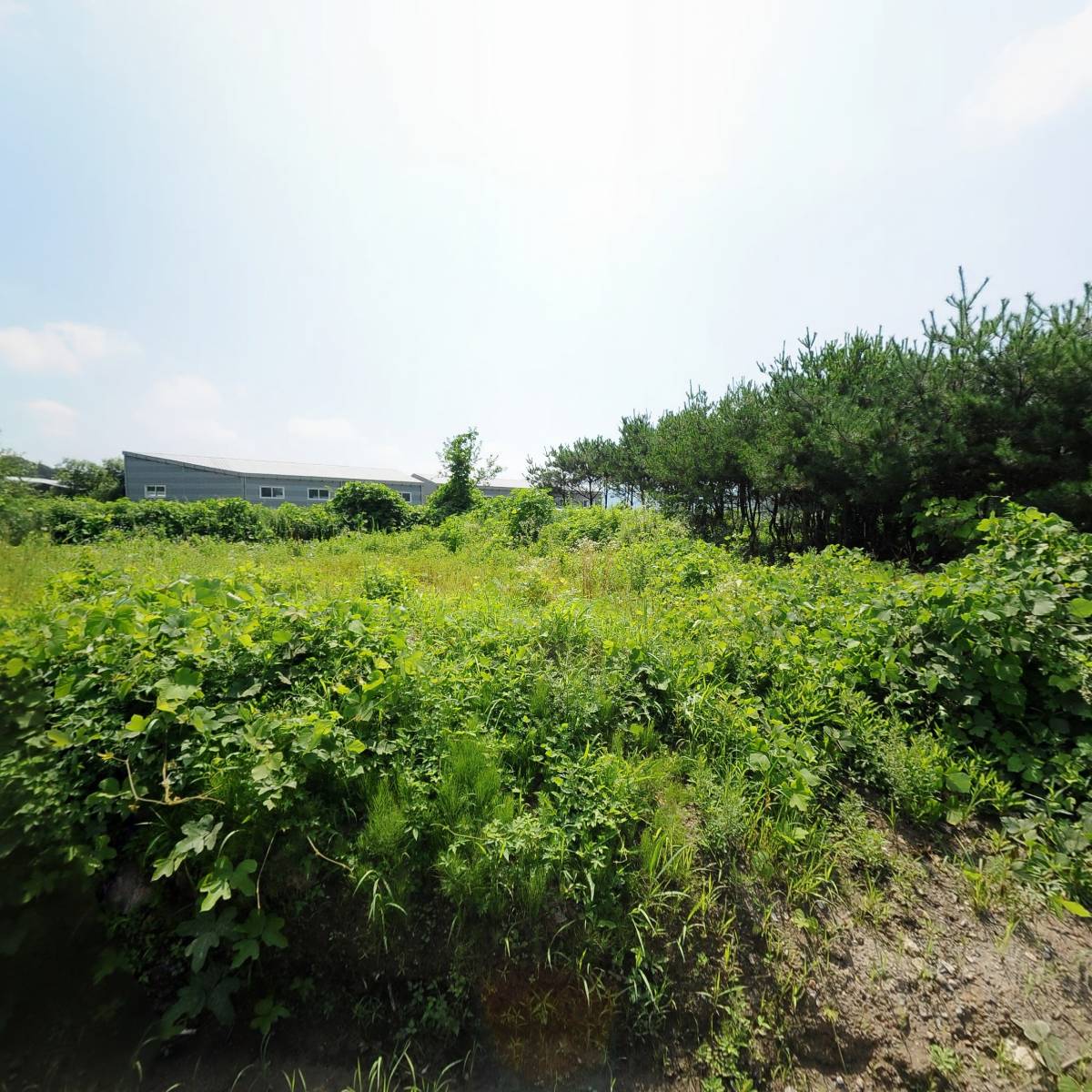광주폐차대행_3
