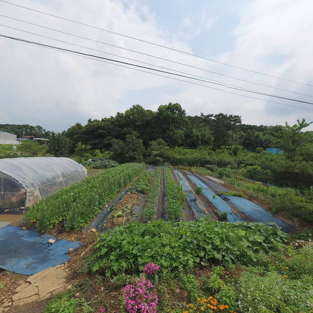 휴머네이션_3