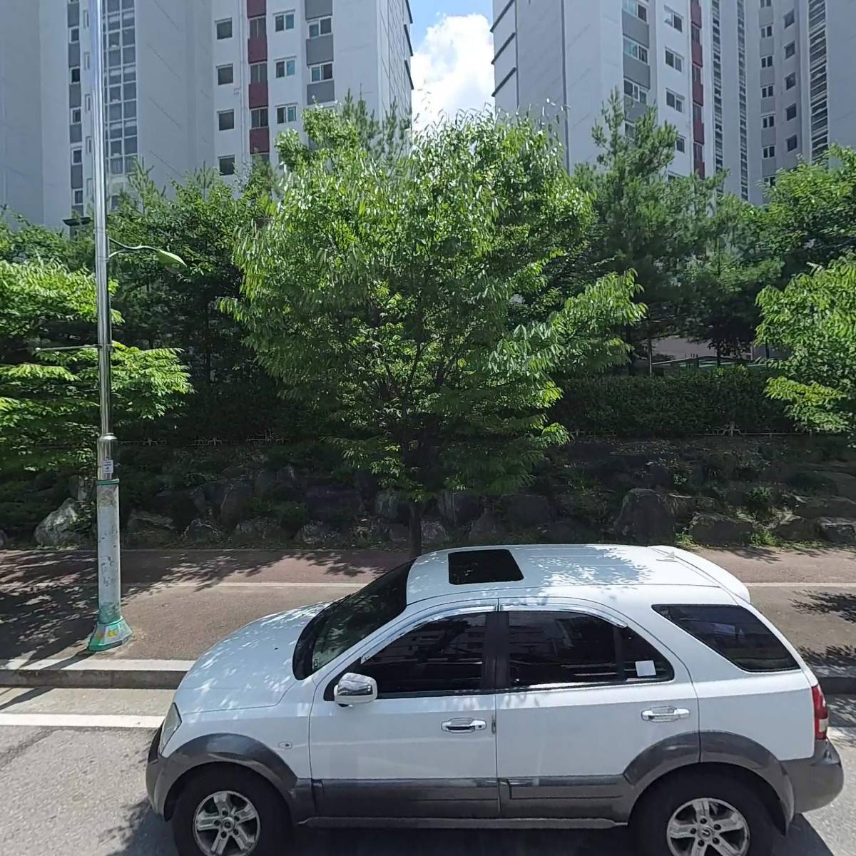 강장선