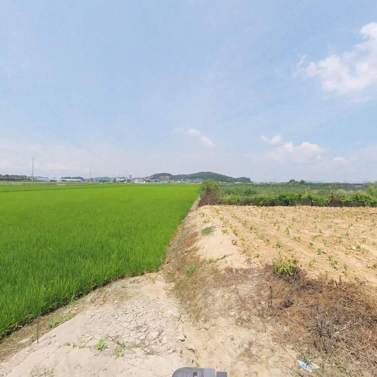 김포마곡황금들녘농업회사법인(주)_3