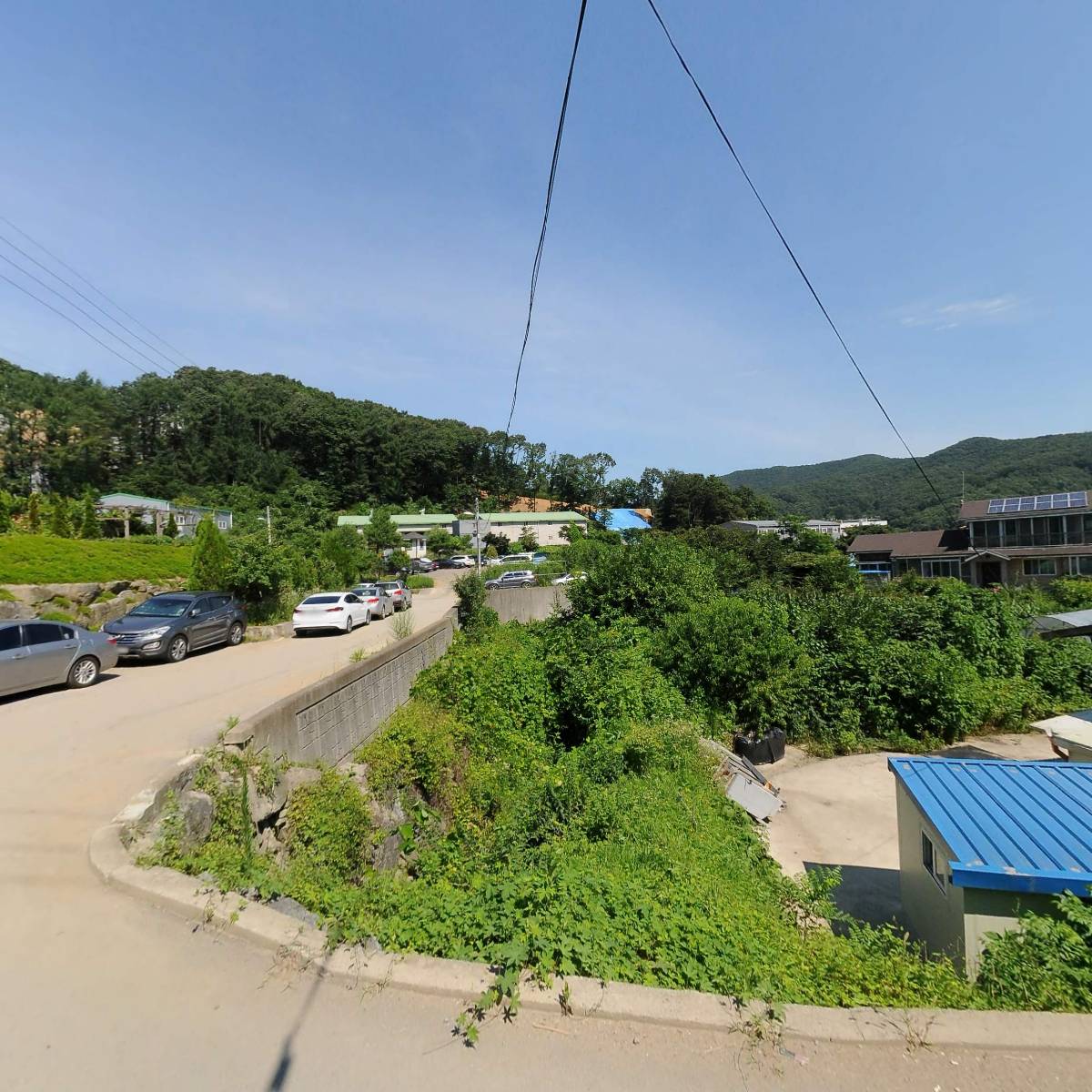 (주) 월남