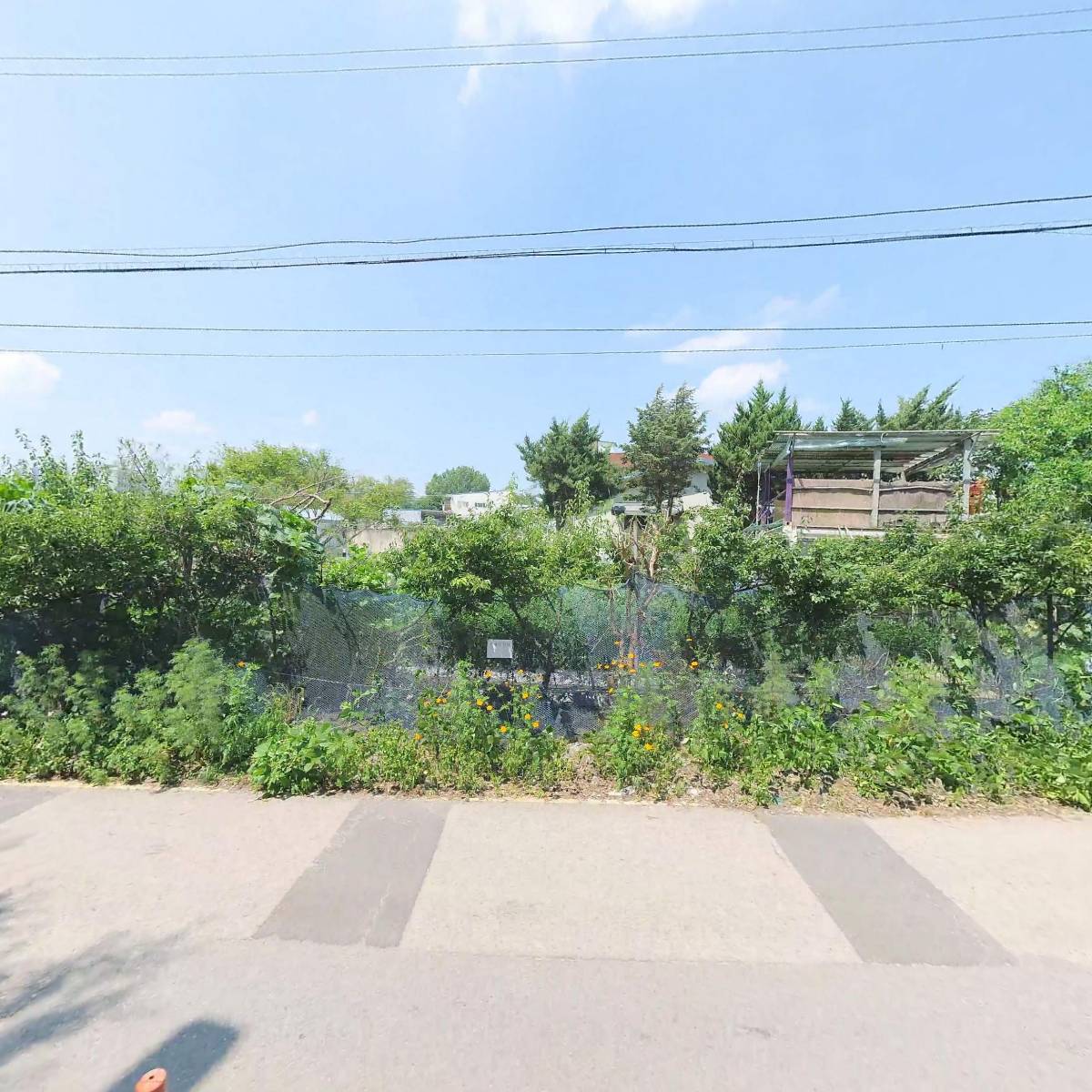뉴삼성자동차운전전문학원 주식회사_3