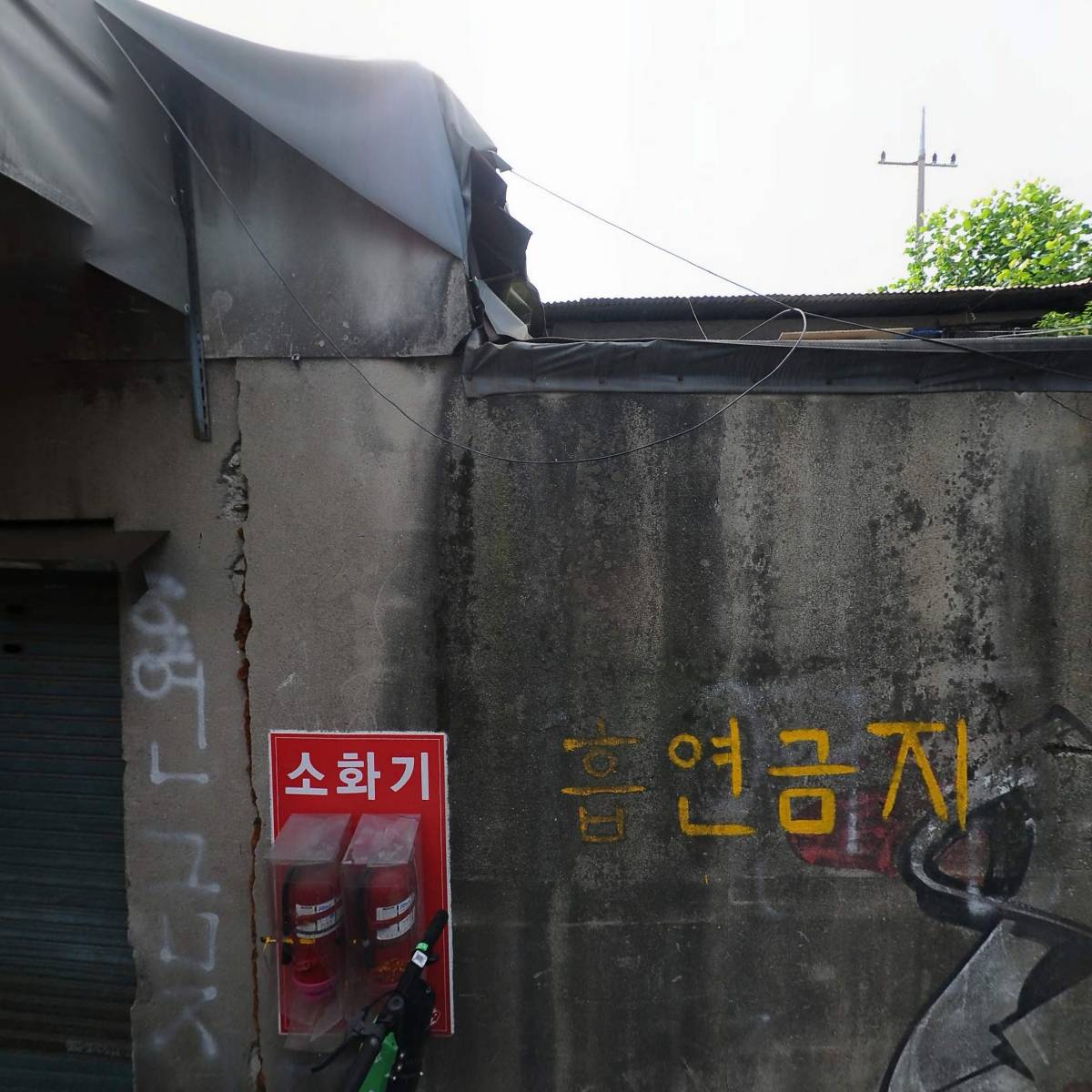 양키스피자