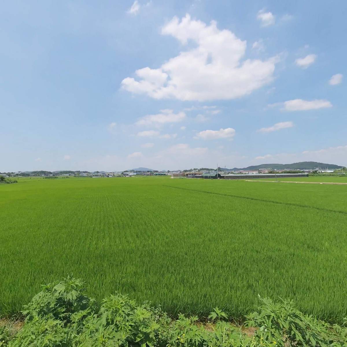 (주)메디휴코스메틱