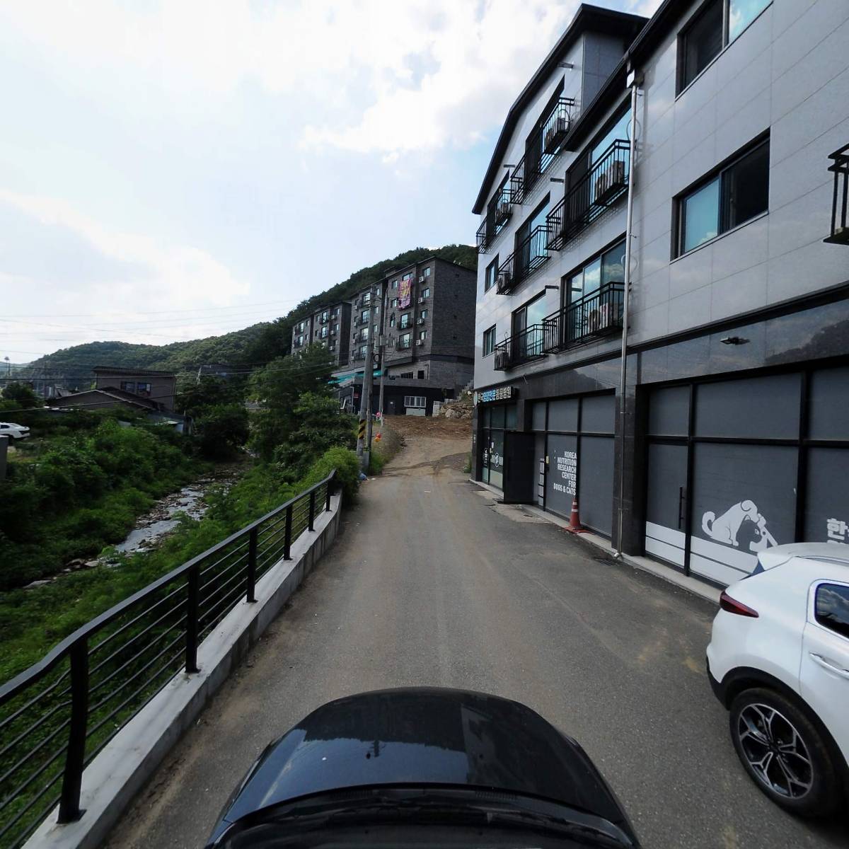 한국영양전문동물병원_4