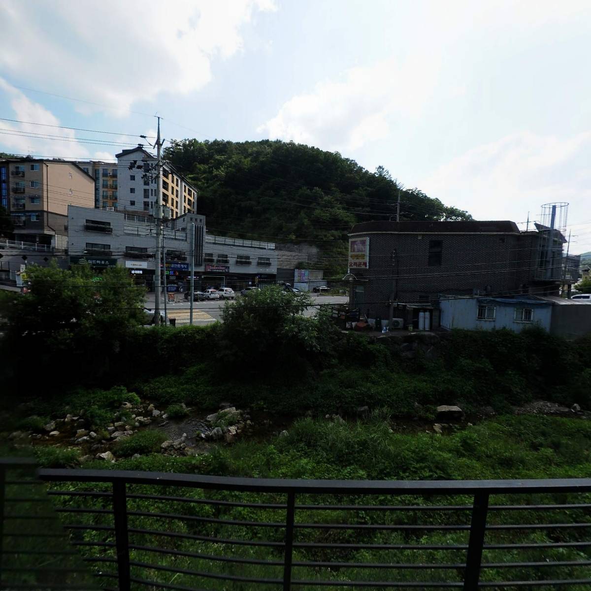 한국영양전문동물병원_3