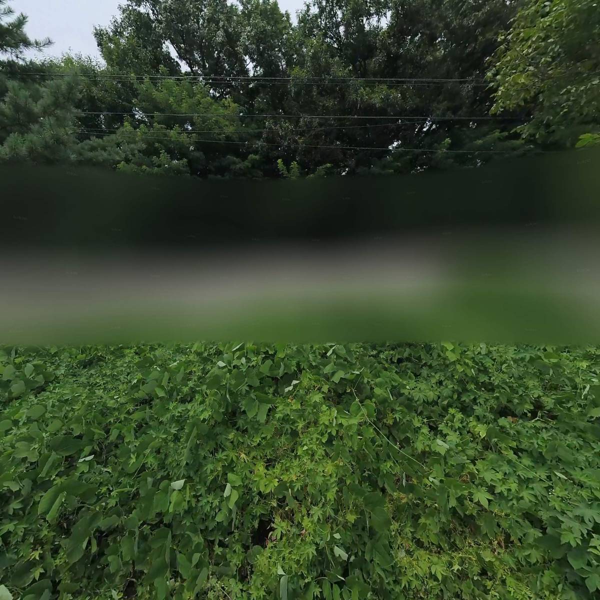 주식회사 리빙아이콘（지점）_3