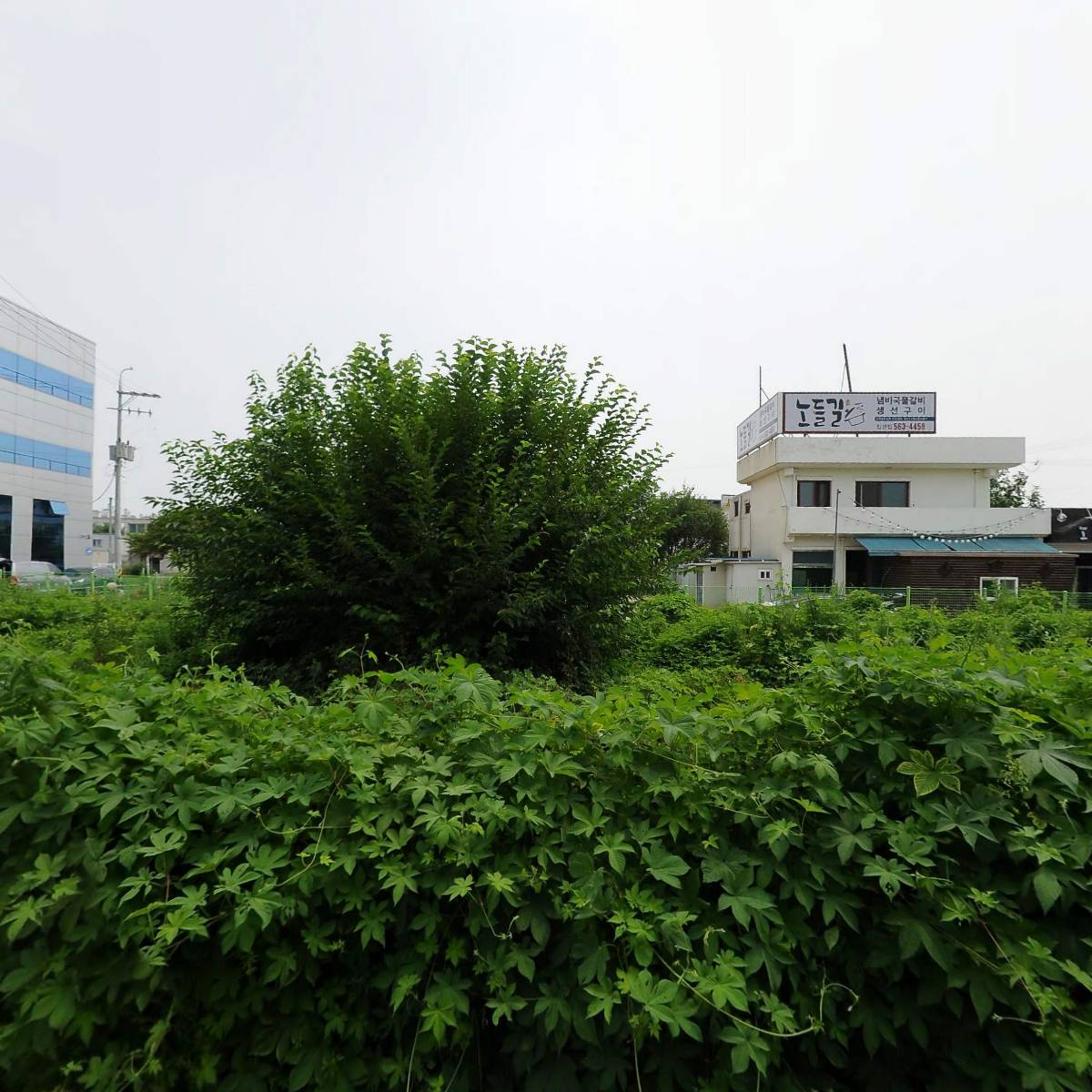 (주)오션푸드_3