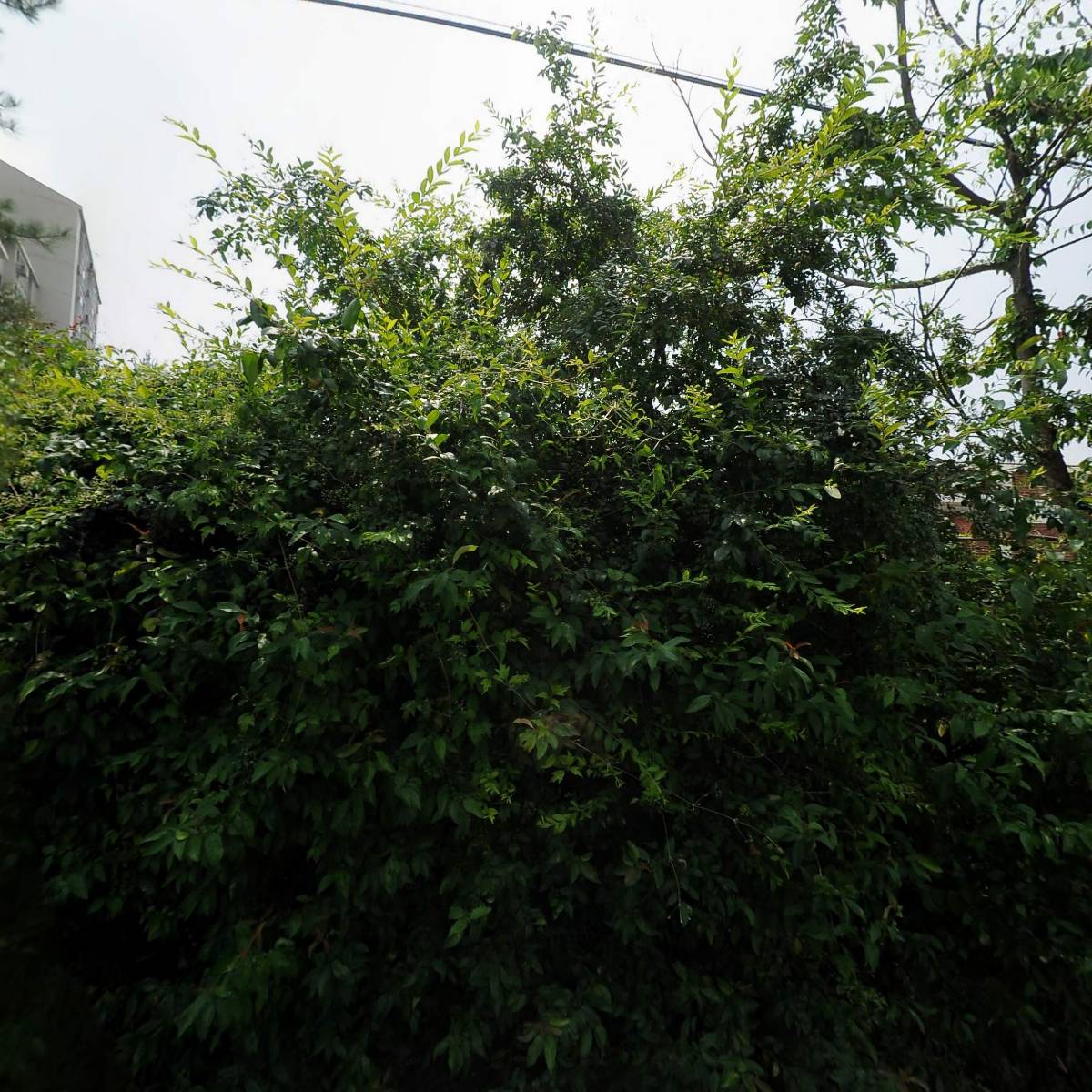 (주)에듀코하우징_3