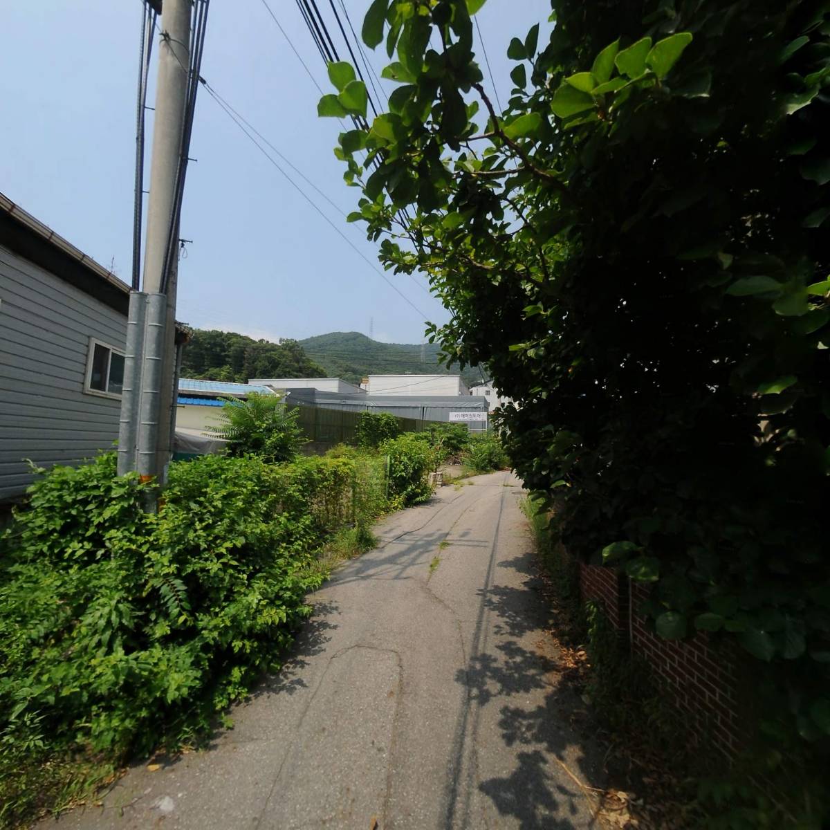 주식회사 등용문_2