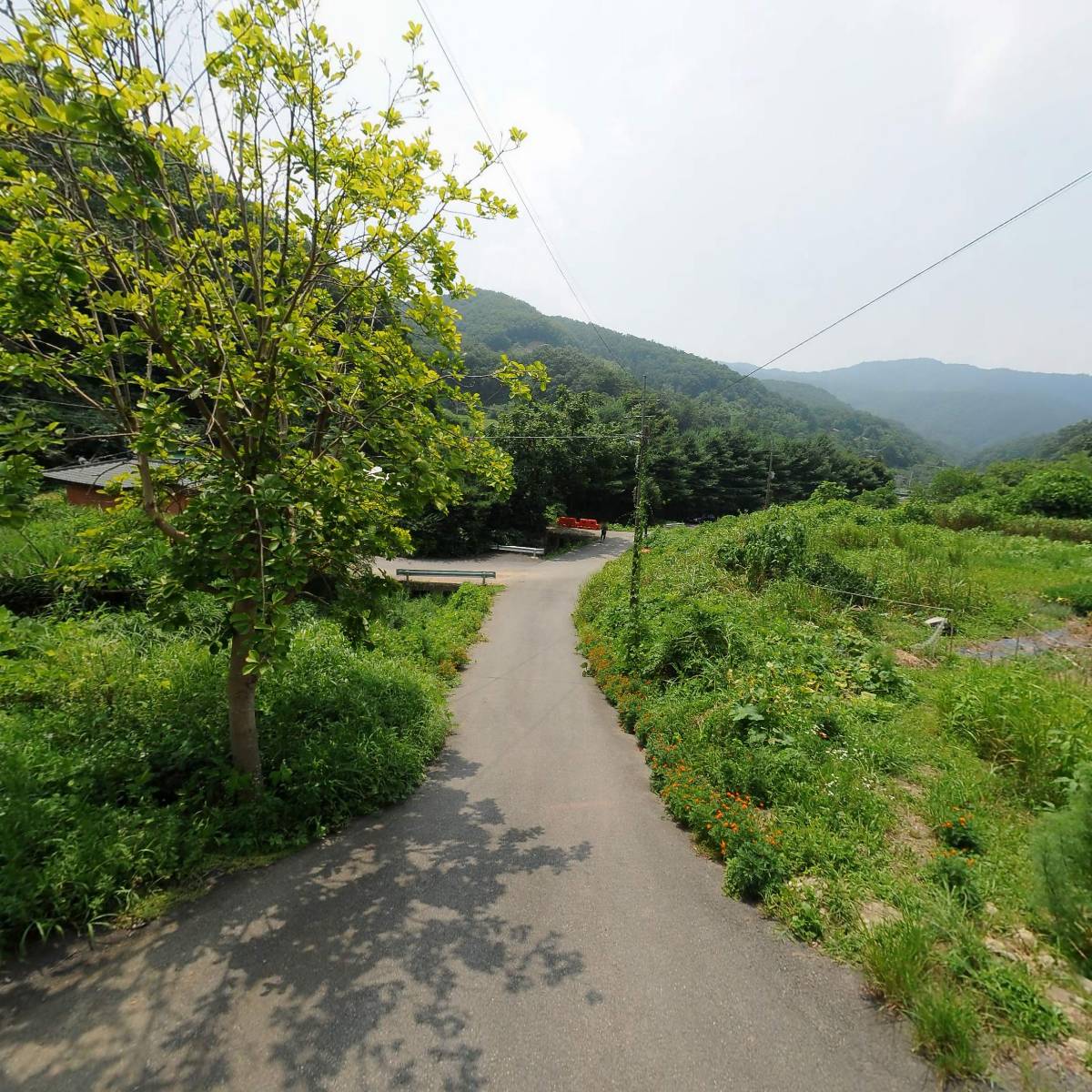 칼의부활 하남_2