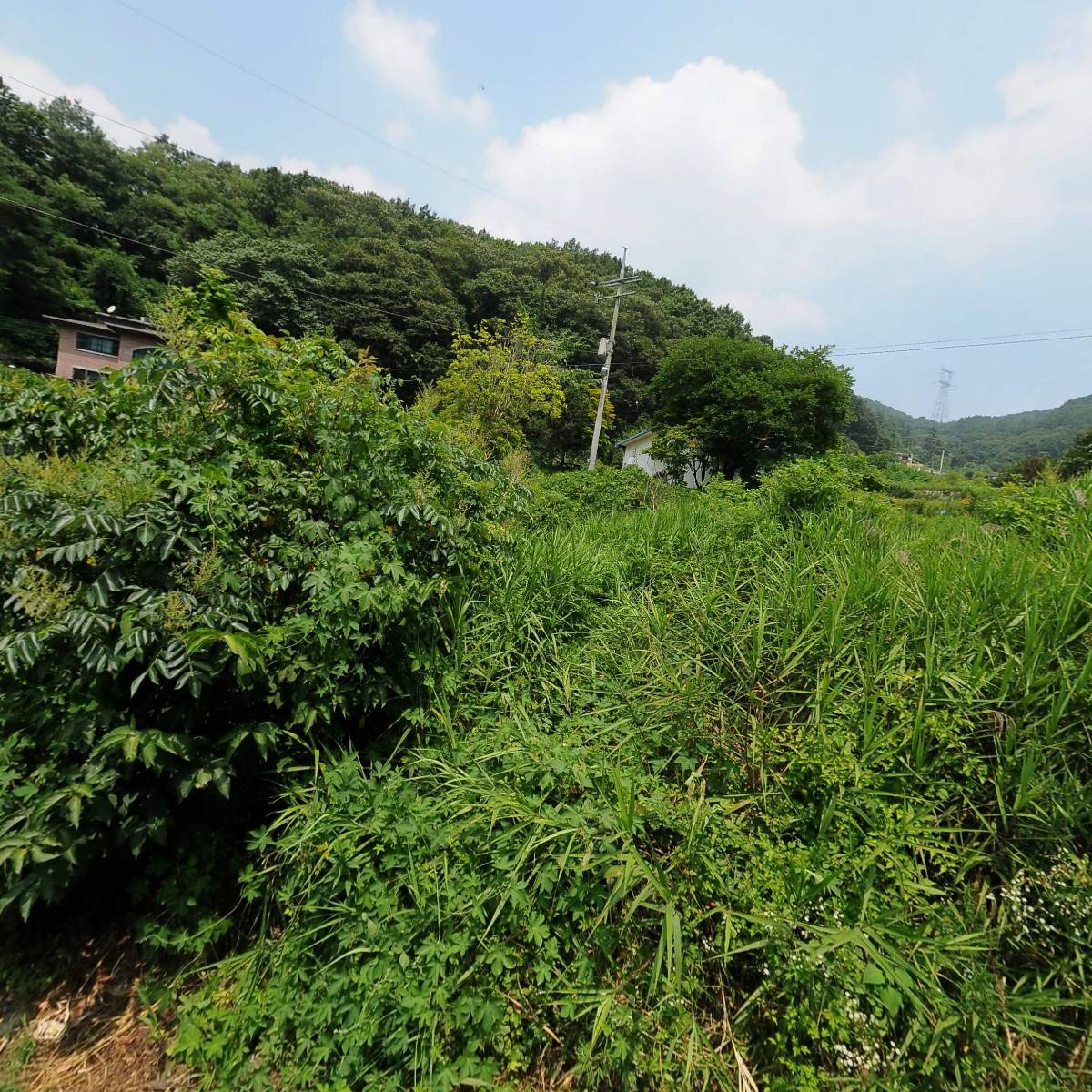 소희세상_3