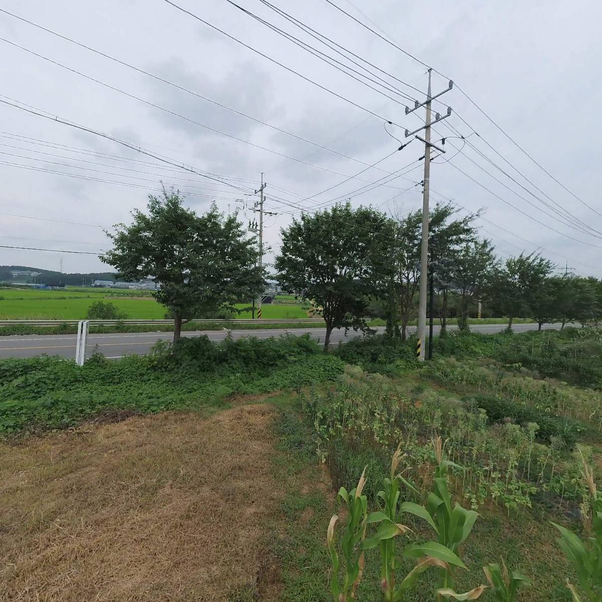 산내들밥상한식뷔페_3