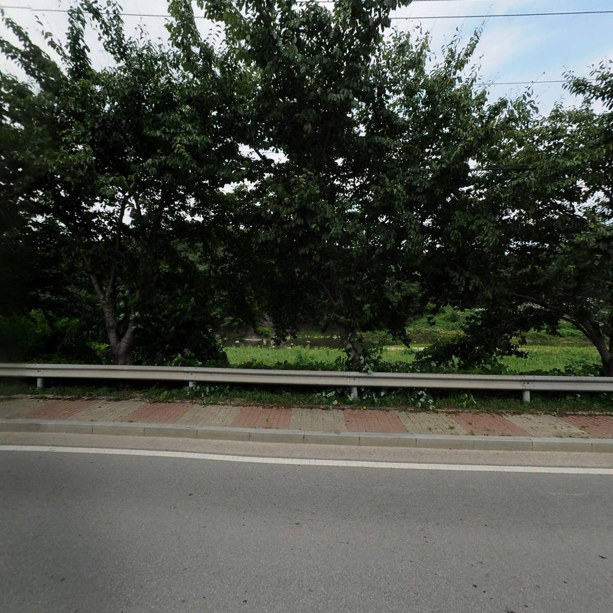 금성계전_3