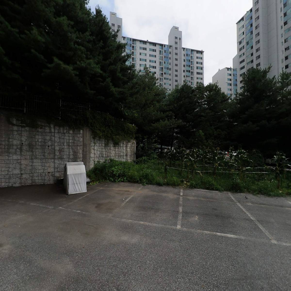 (주)에스피디와이