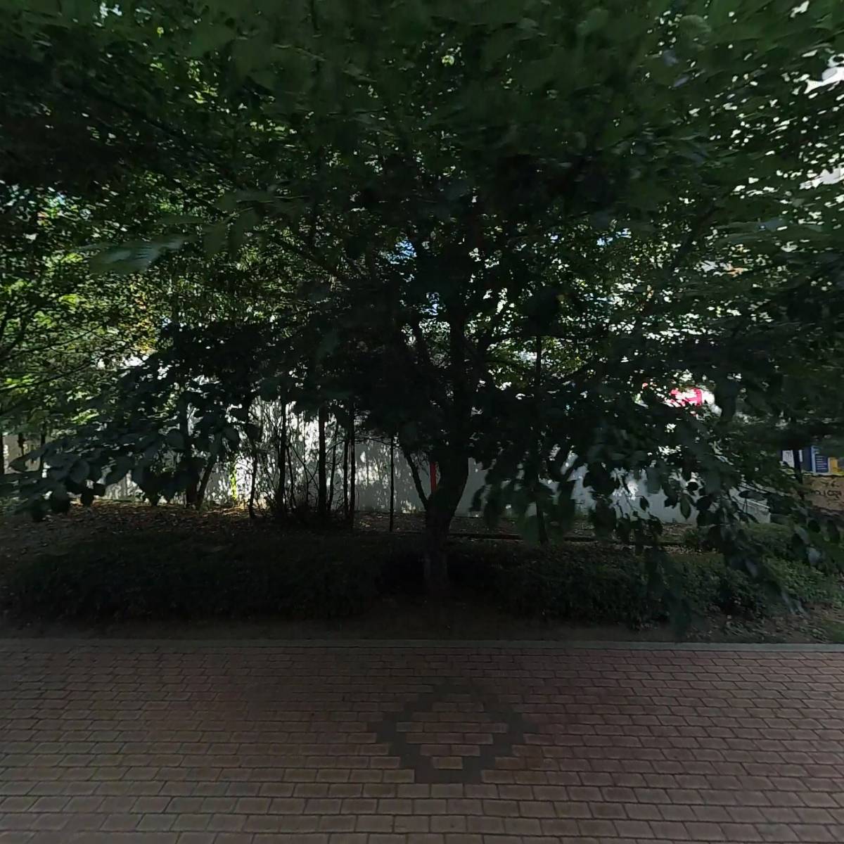 골뱅이아저씨