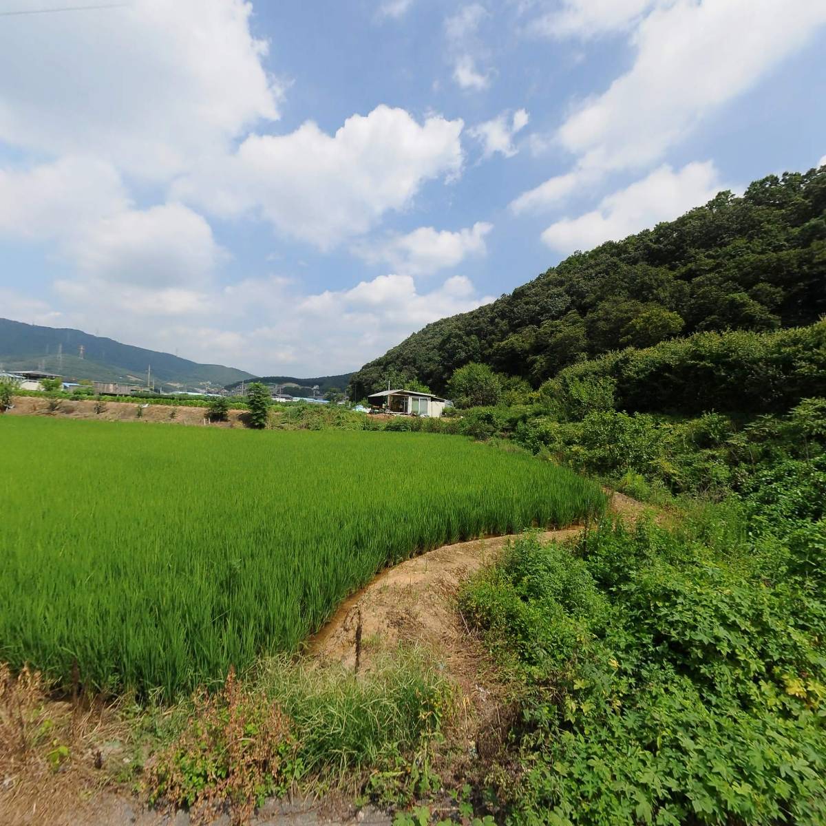 청보푸드농업회사법인(주)