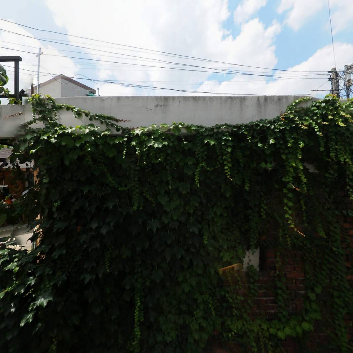 （주）대련엠티에스_3