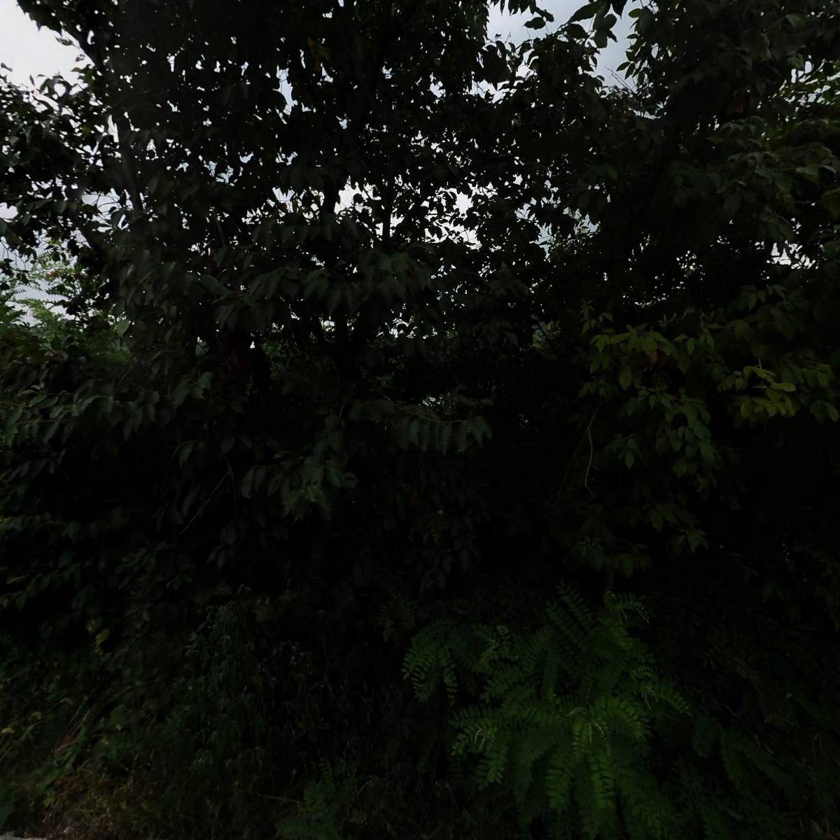 주식회사 아이캔두잇_3