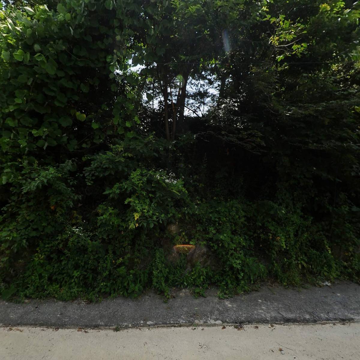 (주)지앤피마케팅_3