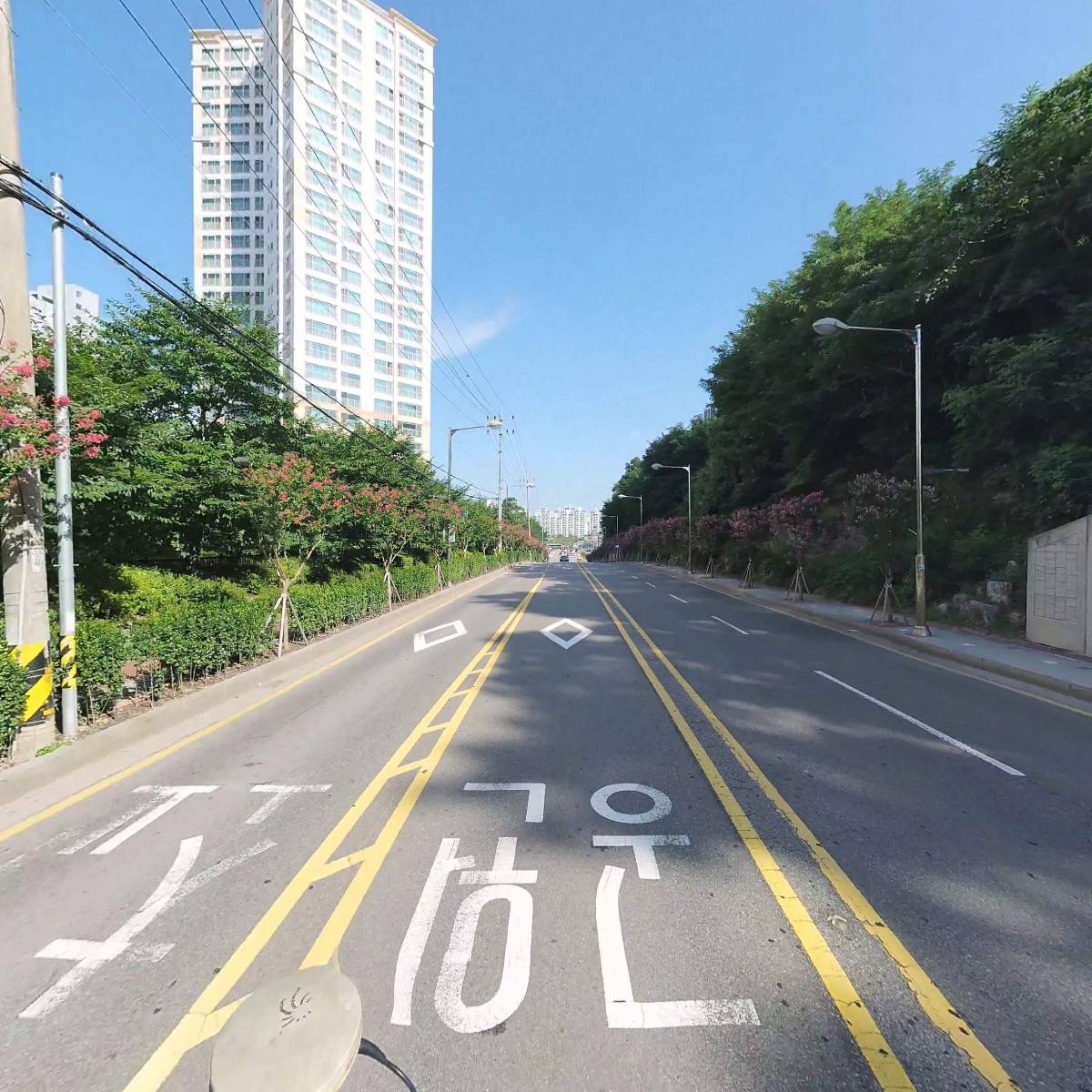 담다디_2
