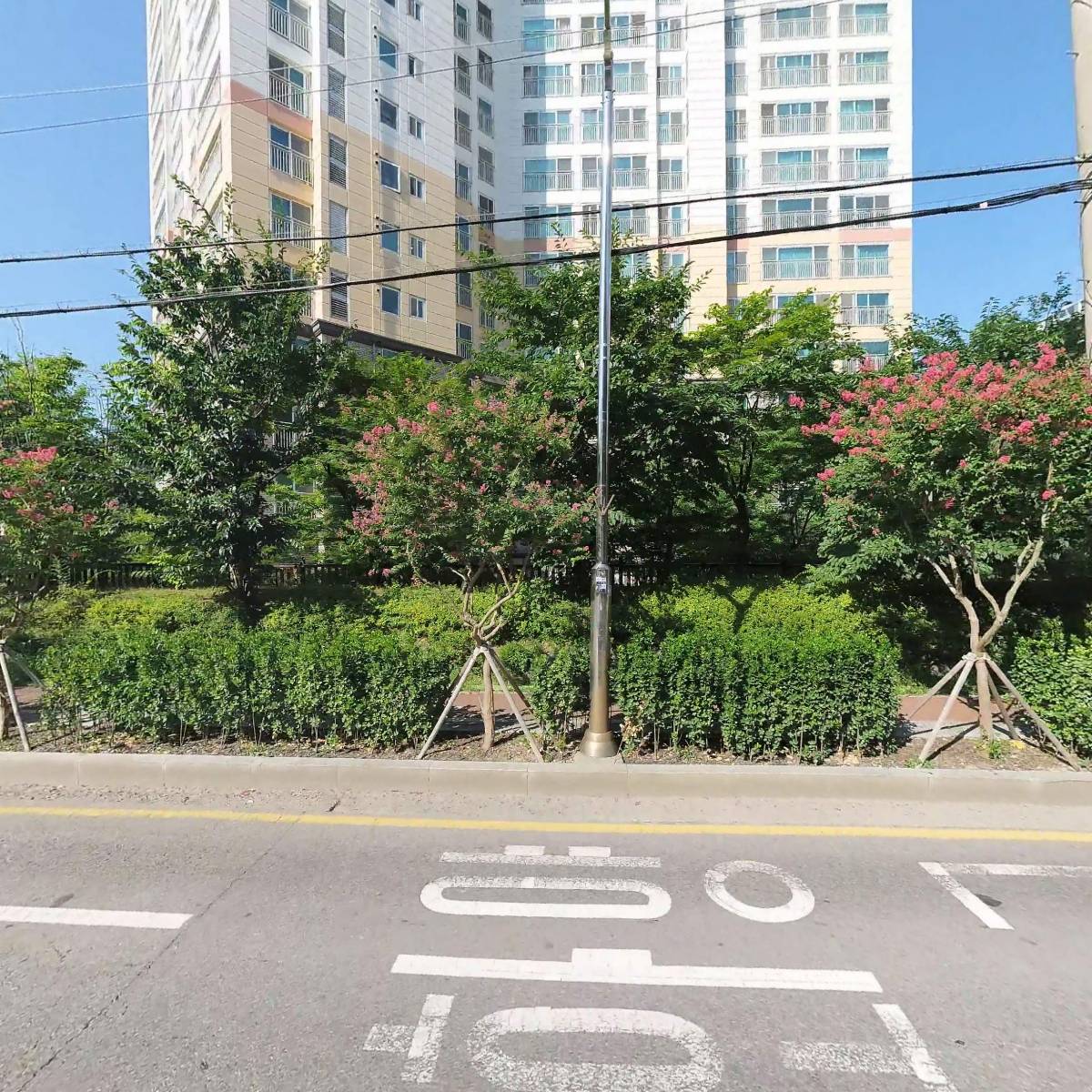 담다디