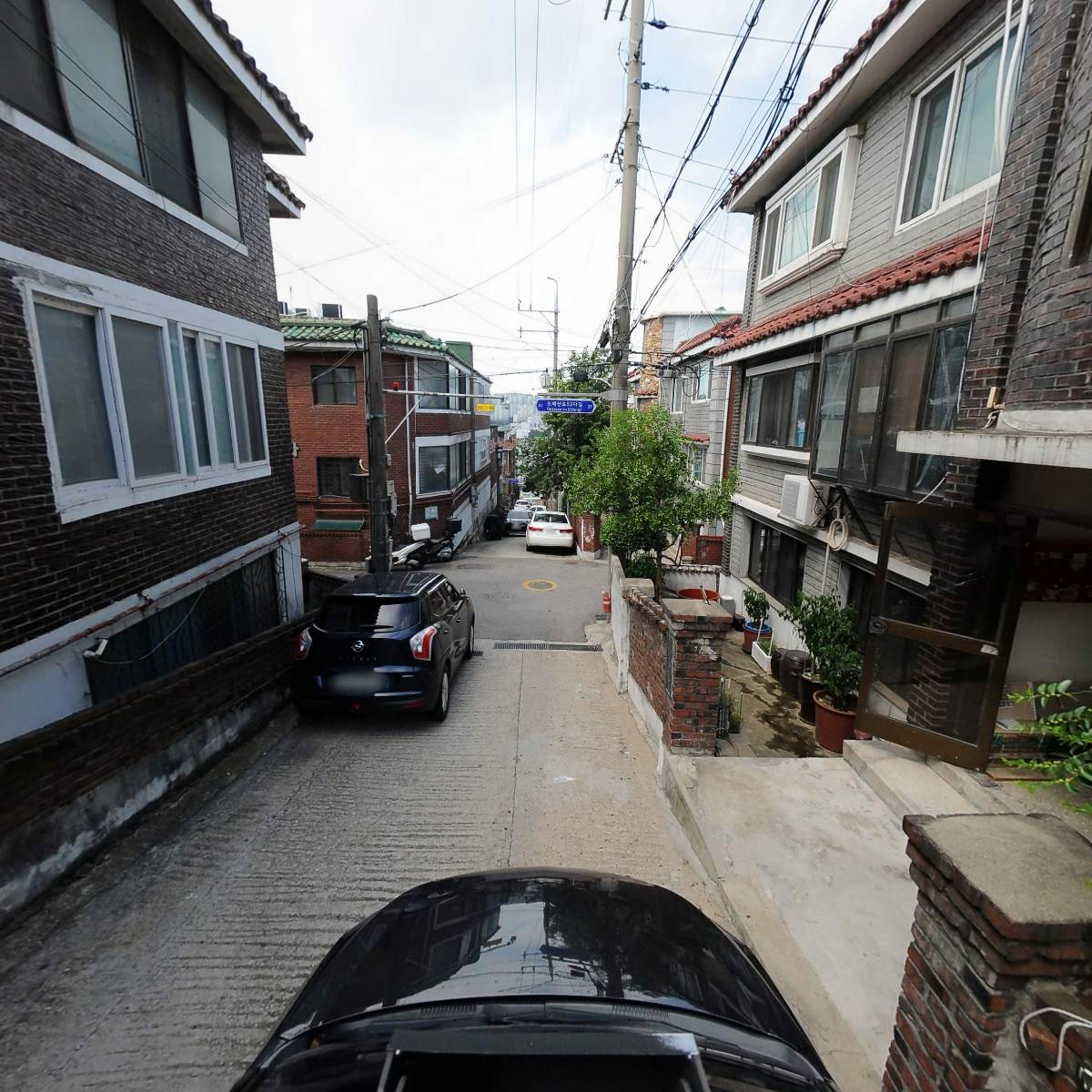 보그_4