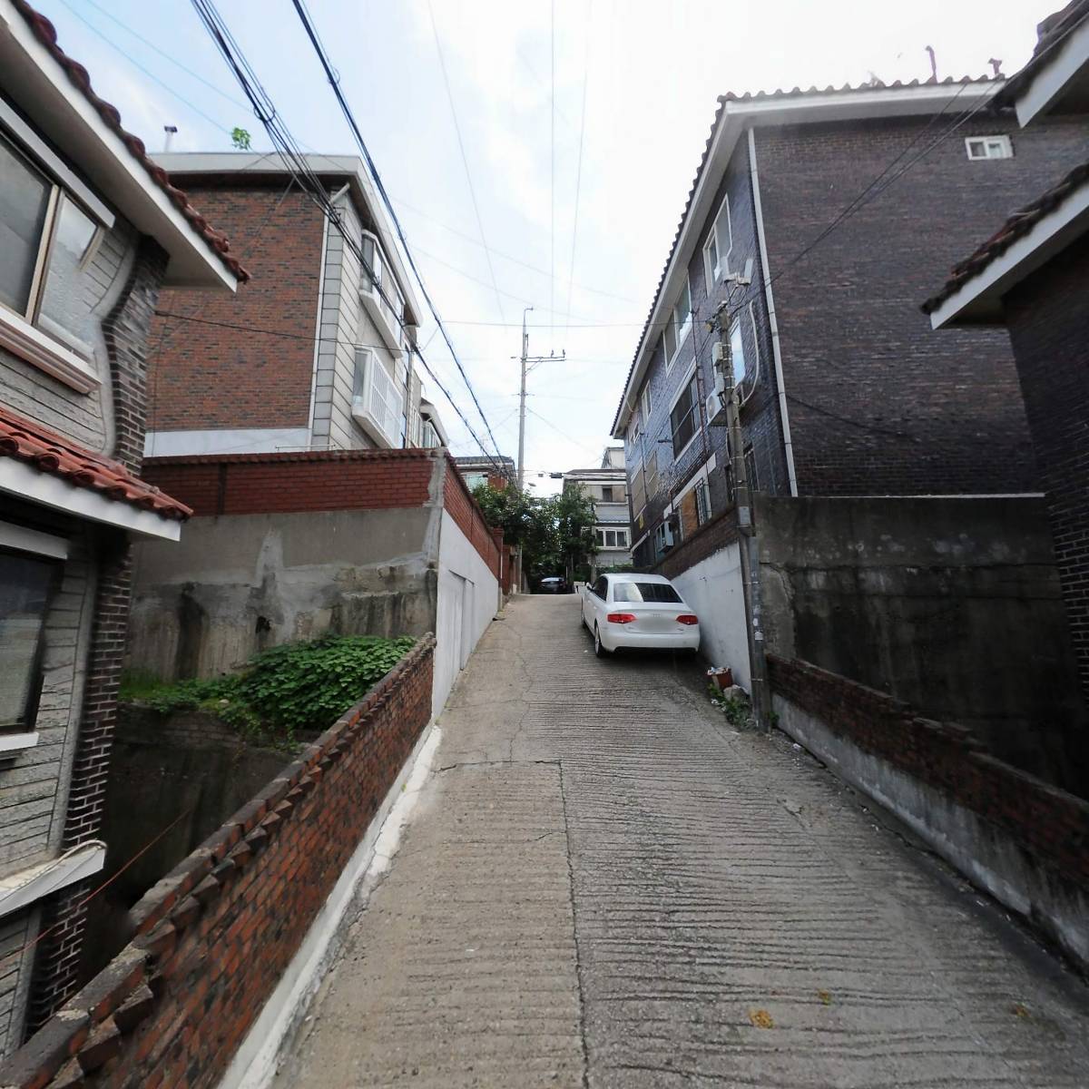 보그_2