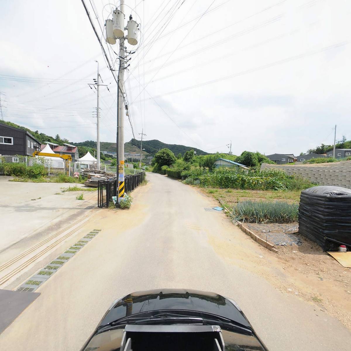 진어전어전가_4