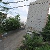 톰보우_3