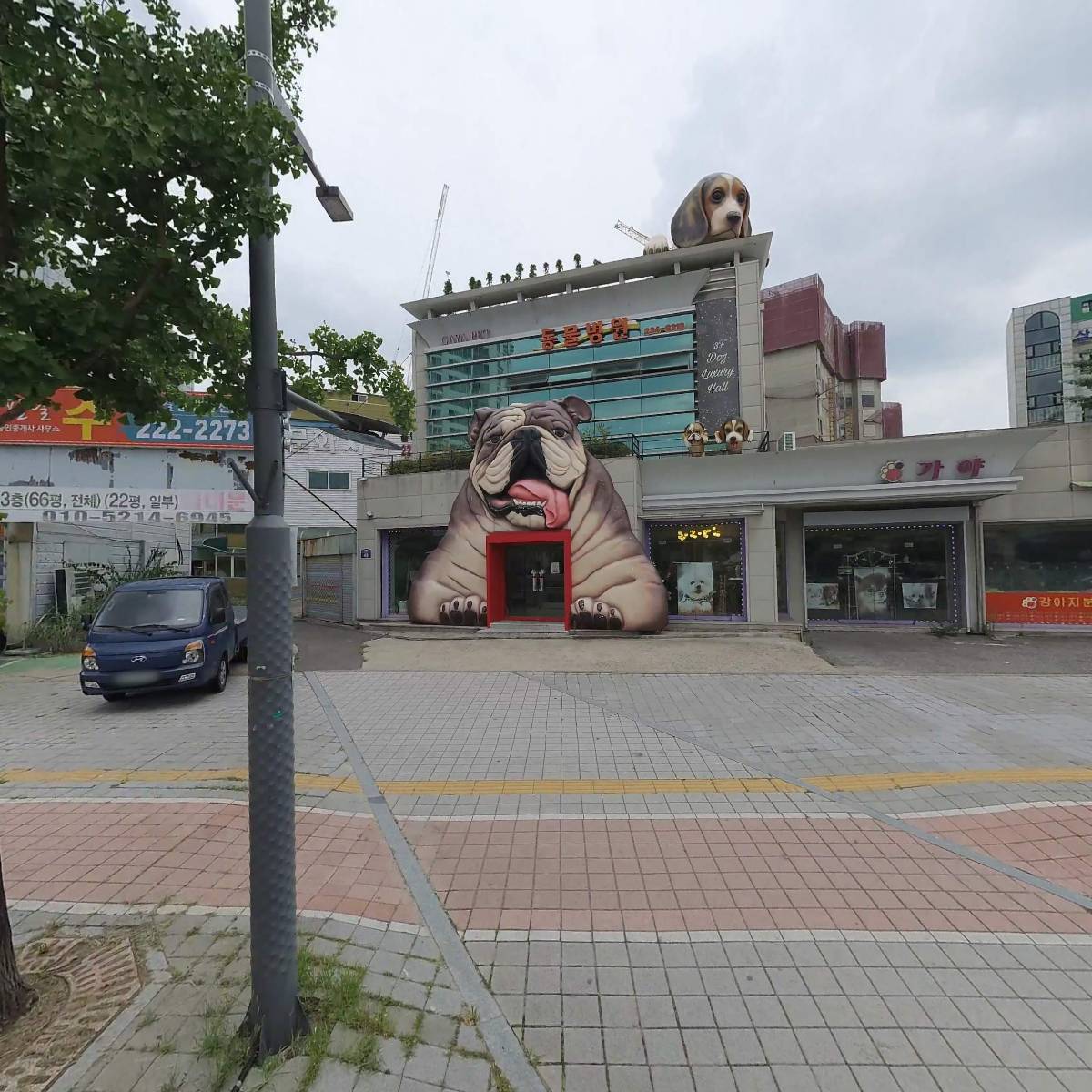 가야애견마을