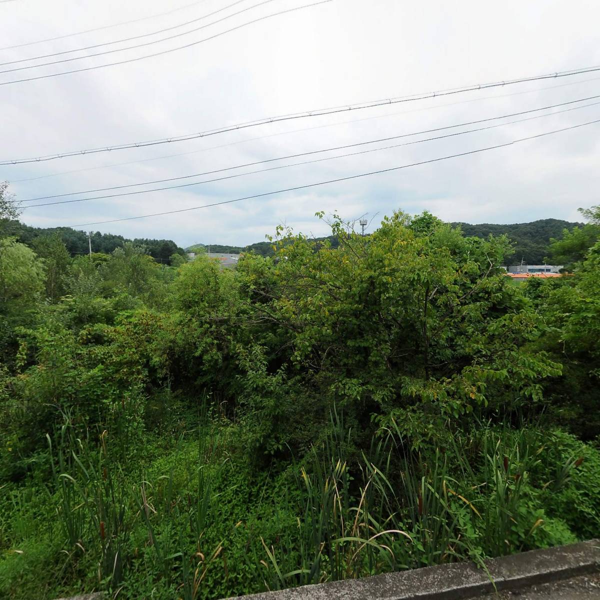 (주)에이티트레이드