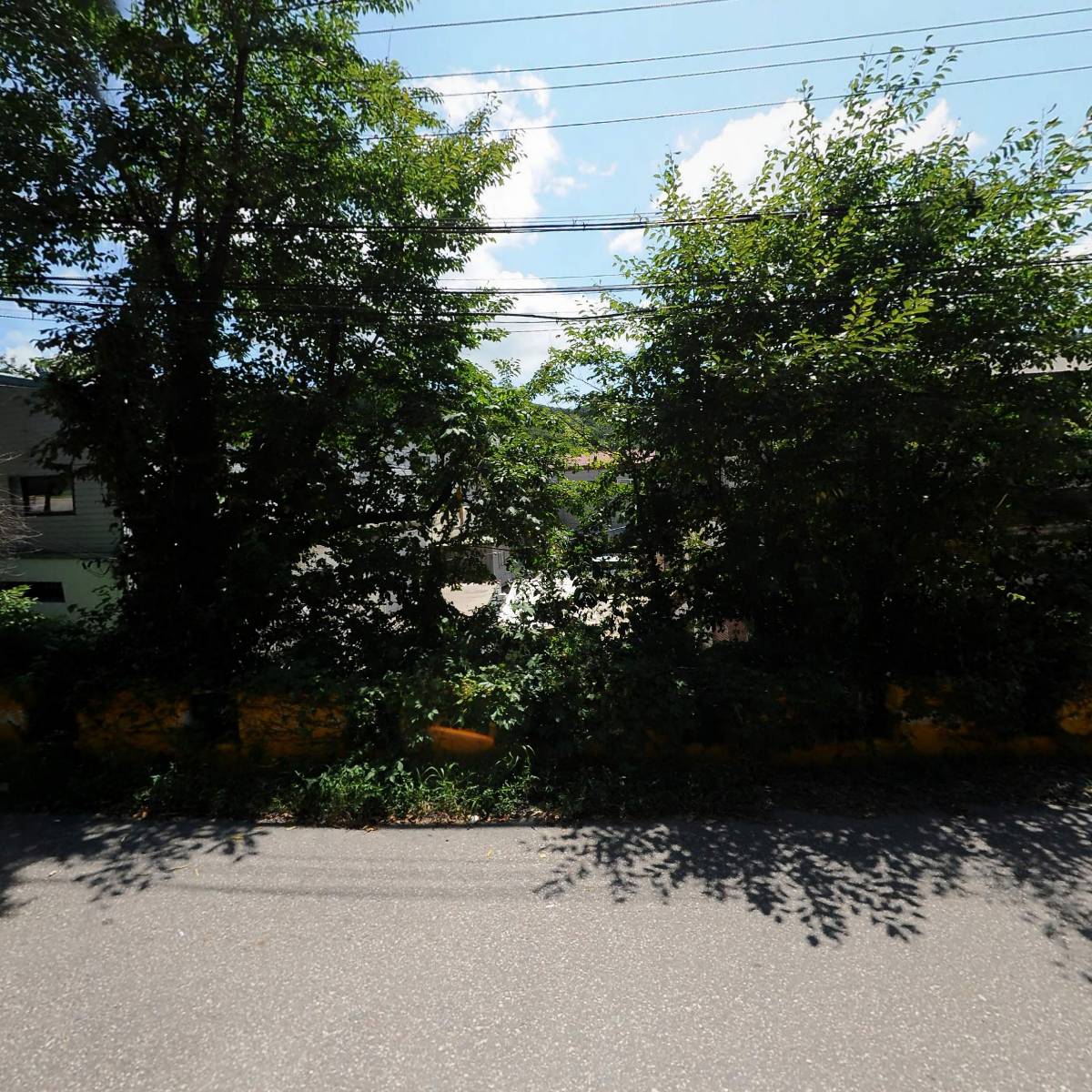 (주)알리다서울