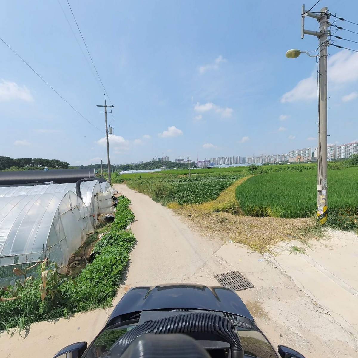 고촌복집_4